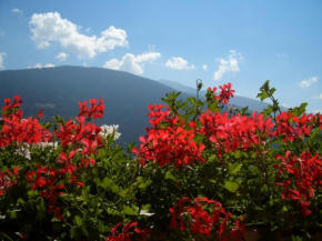 Ferienwohnung Tauberhof Brixen